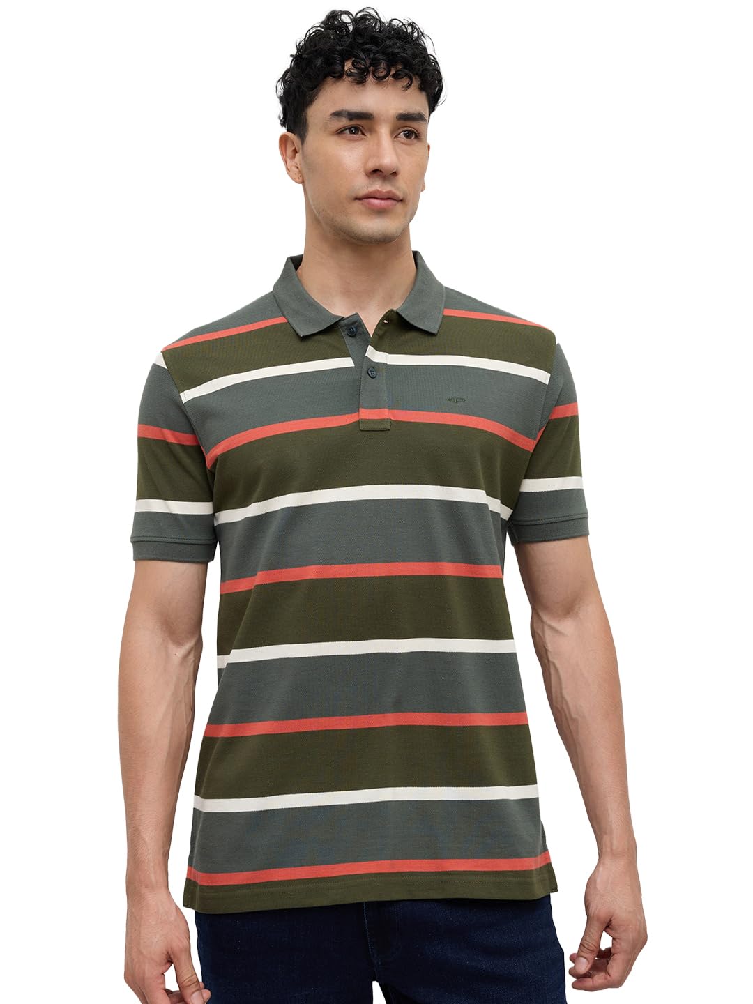 Colorplus Men Regular Fit Stripe Pattern Pure Cotton Plain Neck Half Sleeve Casual T-Shirt-picture-11