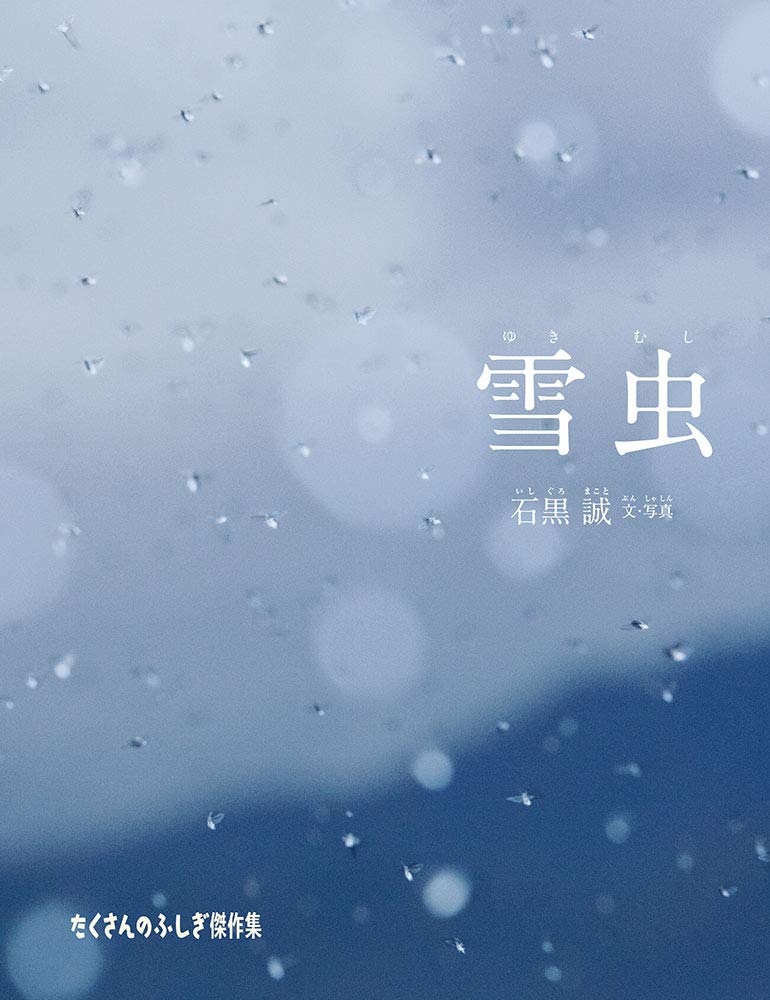 ゆきむしシルク600本6月3日発 61TZbJictpL.jpg