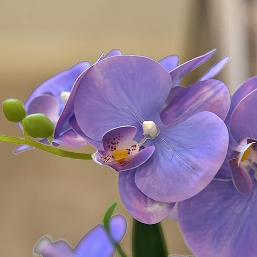 Vista 56 de Flores artificiales de orquídea de tacto real en maceta, flor falsa de Phalaenopsis con jarrón de cerámica blanca, arreglo de orquídeas sintéticas