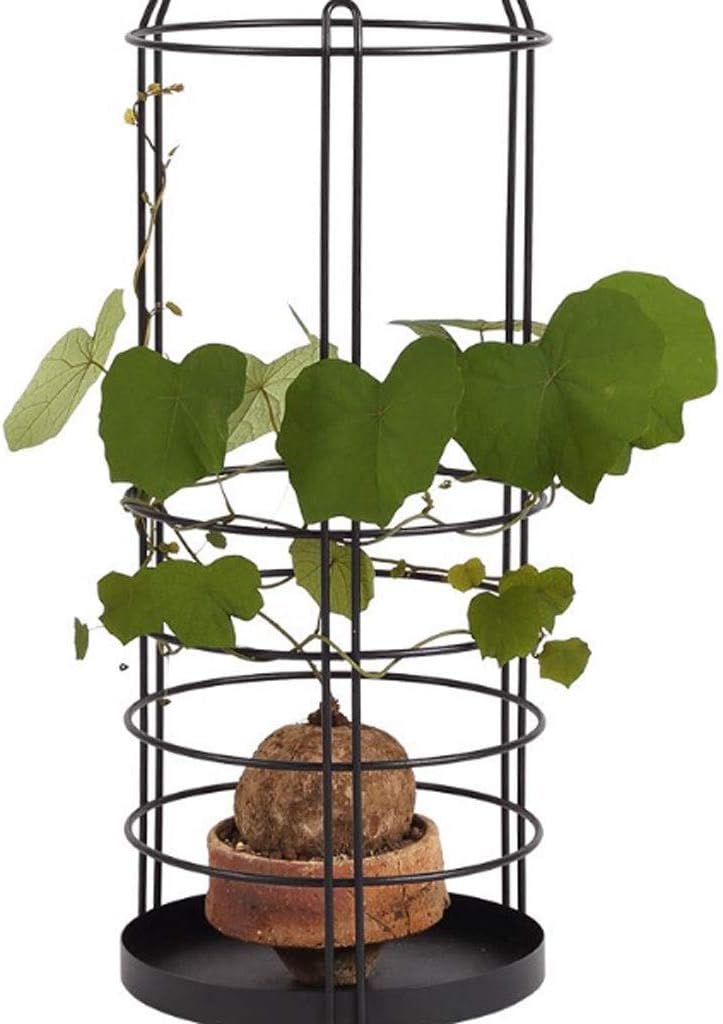 Umbrella Stand, Indoor Entrance, Umbrella Stand Storage Rack, Baseball Bat, Crutches, Umbrella Container, Home Office Decoration