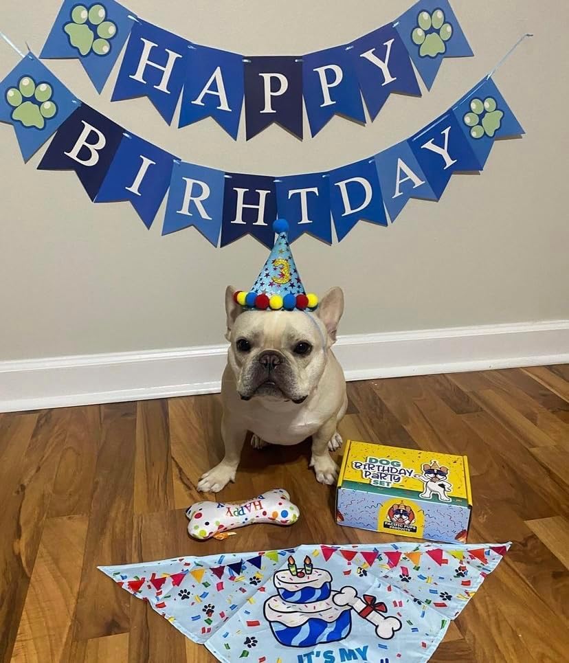 Miniatura 8 de Pacific Pups - Juego de decoraciones de cumpleaños para perro, sombrero de cumpleaños para perro, bandana de cumpleaños para perro, juguete