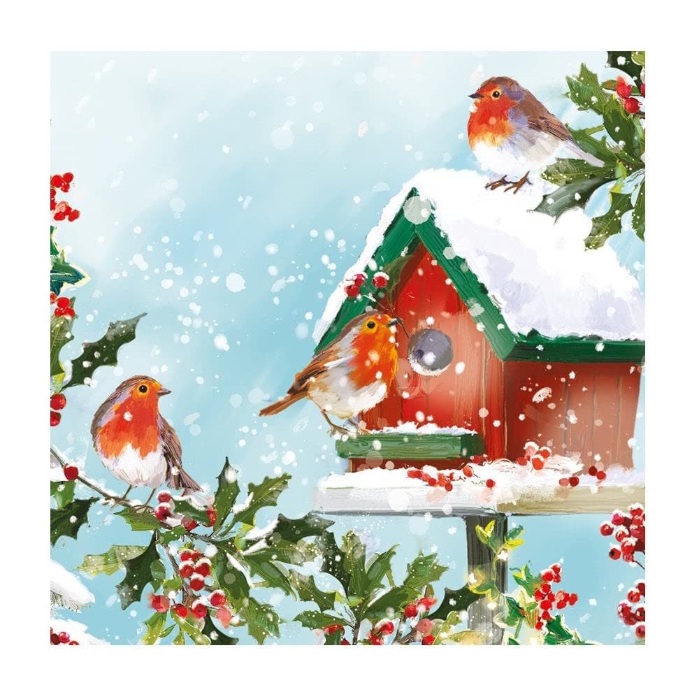 Cartes De Noël Ling Design - 6 Magnifiques Cartes Avec Âne Et Rouge-gorge !
