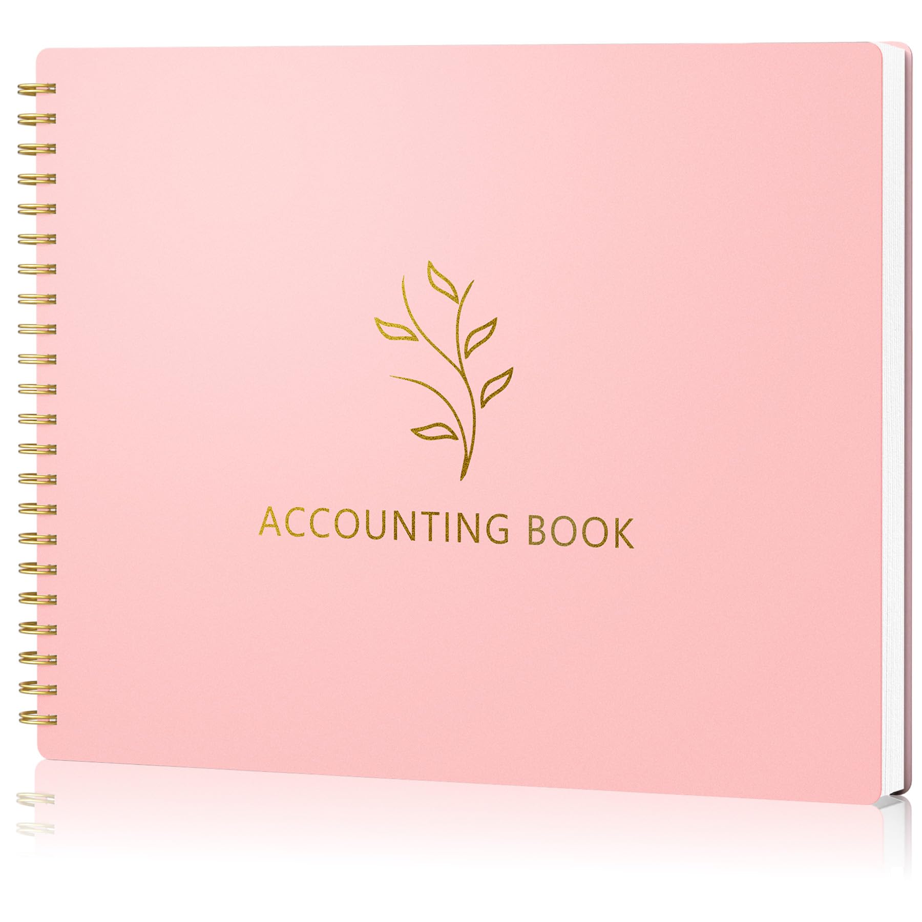 AKONEGE Accounting Ledger Book for Small Business Bookkeeping Personal Use, Horizontal Expense Tracker Notebook for Family Budget, Bookkeeping Record