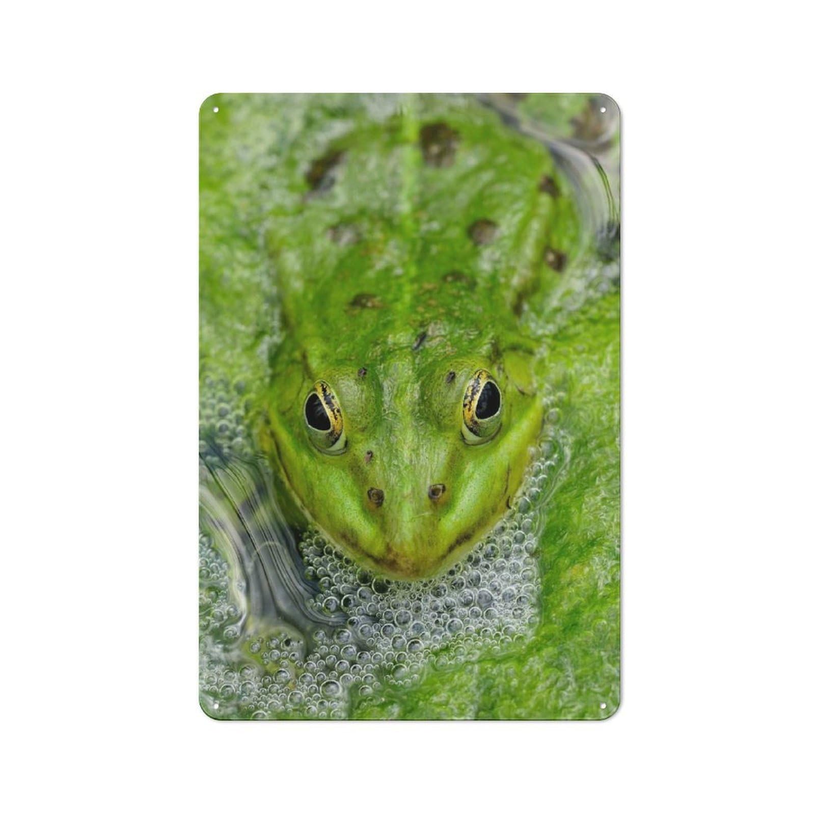 Junmoney Green Frog In Pond Rustic Metal Sign 30X20cm For Café Or Restaurant, Suited To Café Owners And Decorators