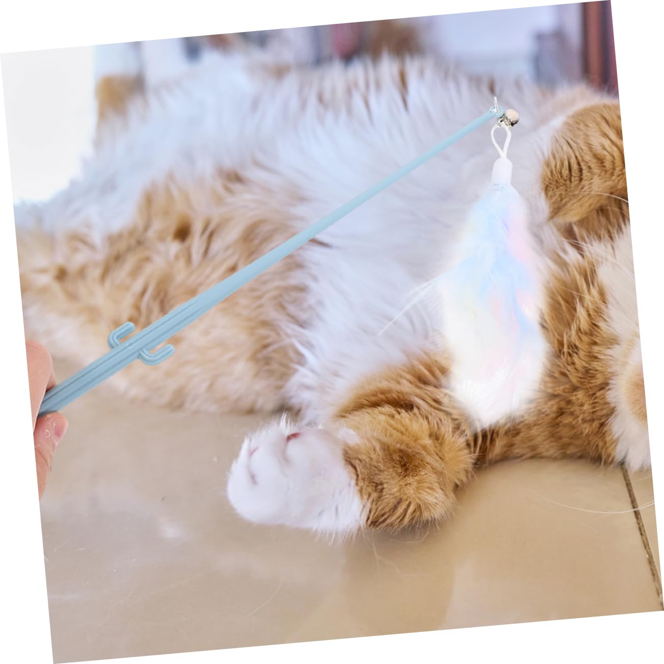 Sosoport 16pezzi Giocattoli Interattivi Per Gatti Con Manico Ergonomico e Piume Colorate Per Gioco Indoor e Stimolazione Fisica Dei Gatti