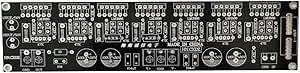 Amazon.com: INPETS LM3886 7 Abreast 1 Channel 300W Class AB Audaio