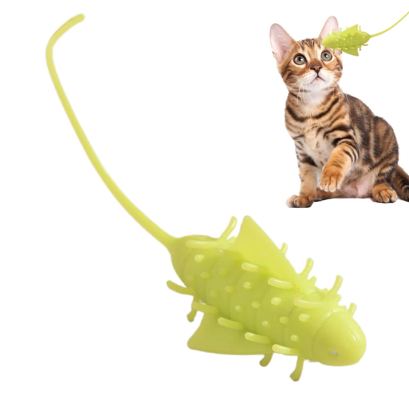 Juguetes para Gatos， Juego de masticación automática for Gatitos, for Ejercicios Alivio del aburrimiento en Interiores y Exteriores, simulación Mental