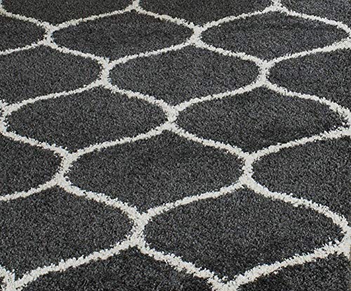 Image of F & B Rugs Luxurious Luck high Density Thick & Soft Shaggy Carpet Microfiber 2 Inch Pile Height 10 x 12 feet