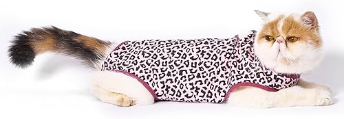 Jiupety Traje de recuperación quirúrgica para gatos, body de gato para heridas abdominales después de una cirugía o enfermedades de la piel, collar