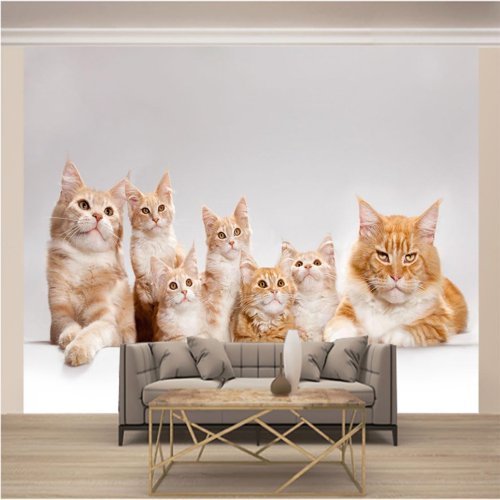Papier peint panoramique chat 3D pour agrandir une petite pièce et masquer les murs