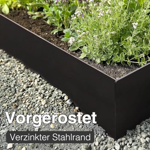6er-Set feuerverzinkte Rasenkante mit Pulverbeschichtung, 100x20 cm (LxH), Metall-Beeteinfassung, mit 7 Erdclips für Rasen und Gartenwege, 6 m Gesamtlänge #LYLB08BK-DE