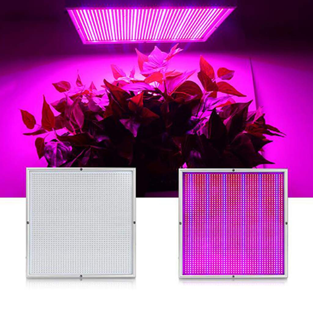 Lumière de croissance des plantes, lumière de remplissage des plantes à LED, 200w, lampe de croissance des plantes d'intérieur, pour la croissance des plantes, spectre complet, lampe de croissance de