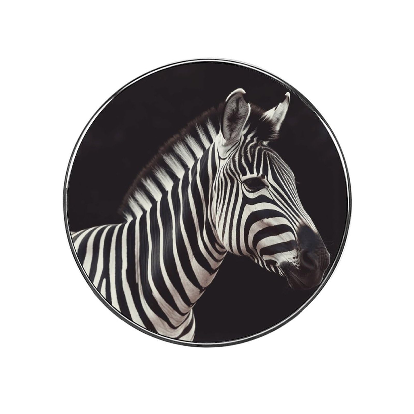 Animal Zebra Magnetic Refrigerator Sticker Glass Strong Fridge Sticker Cute Refrigerator Magnets for Kitchen Office Whiteboard Cabinet Decorative Magnets for Gift
