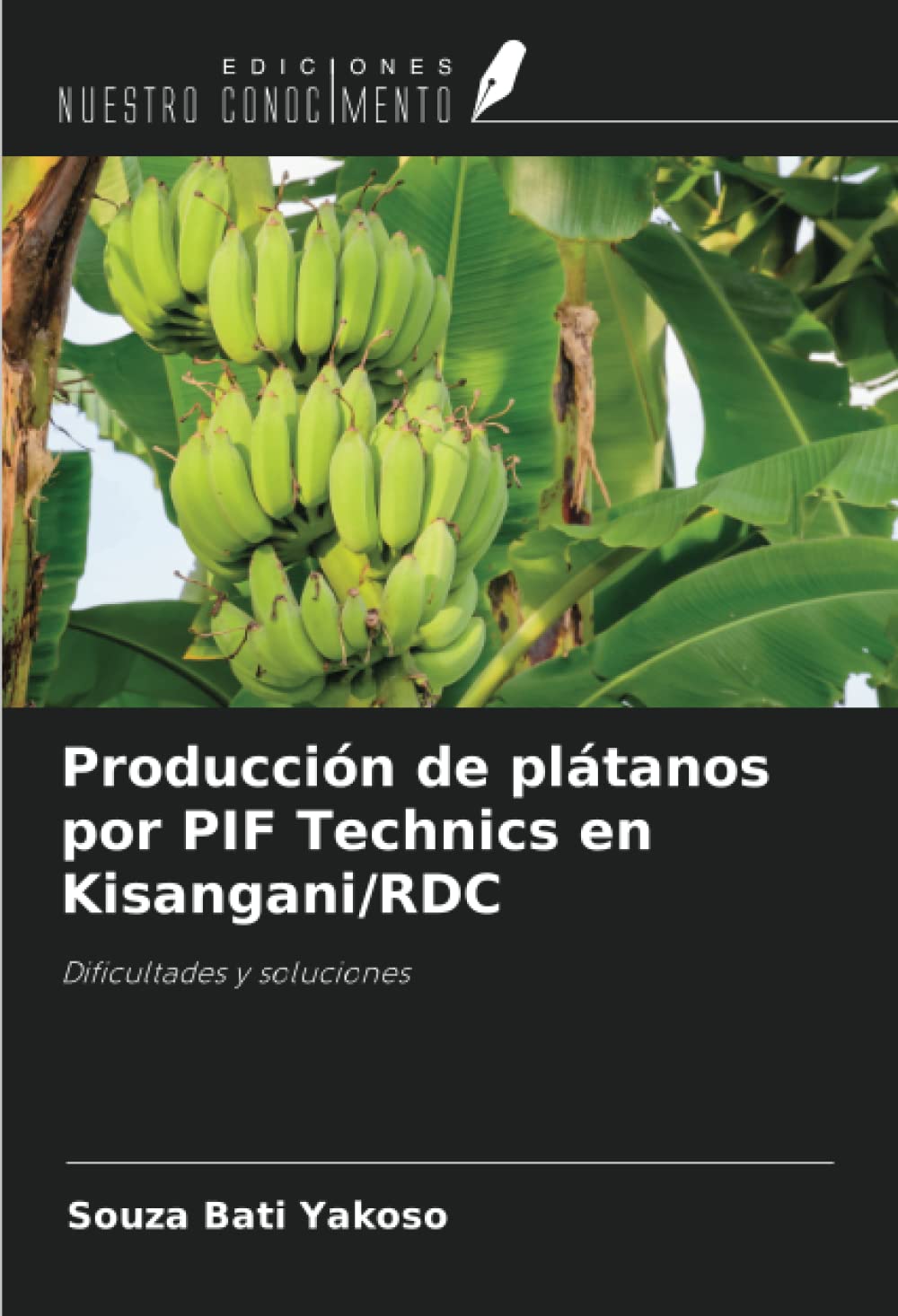 Producción de plátanos por PIF Technics en Kisangani/RDC: Dificultades y soluciones