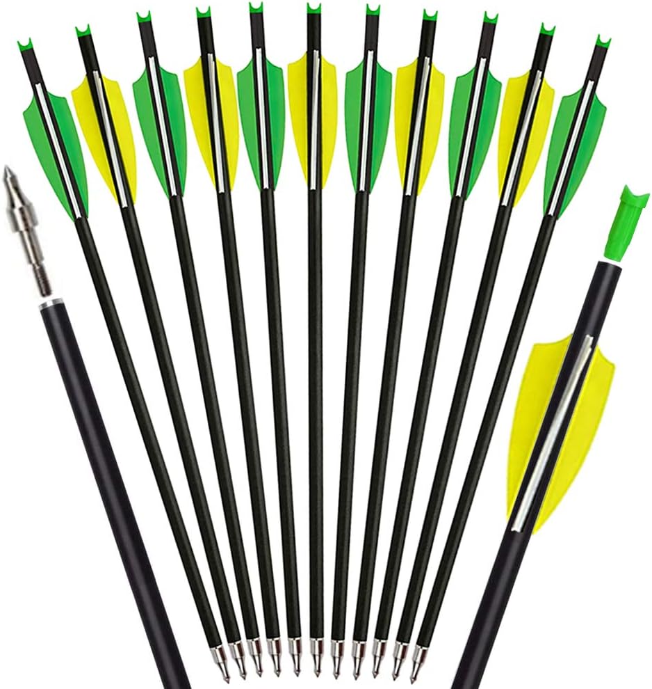 12pcs 20" Carbon Crossbow Bolts Hunting Archery 20 Inch Arrows with 4 Inch Vanes and Replaced Arrowhead Tip : Sports & Outdoors