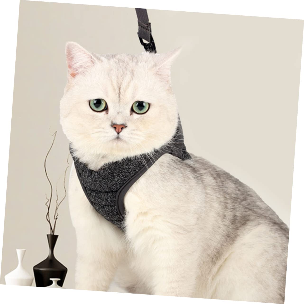 minkissy 3stücke Leichtgewichtiges Katzen-brustgeschirr Aus Atmungsaktivem Material Bequeme Und Langlebige Katzen-Leine Für Täglichen Gebrauch Für Und Ausflüge