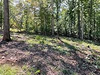 Review Image by Glenn R. Miller Glenn R. Miller