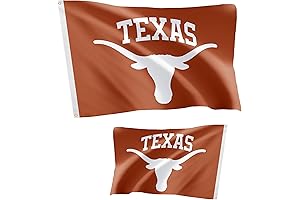 Desert Cactus UT Double Sided Texas Longhorns Flag