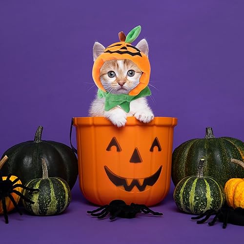Miniatura 5 de ALIBBON Disfraz de Halloween para gatos y perros, juego de tocado de calabaza y gorra para cosplay de cachorros y gatitos
