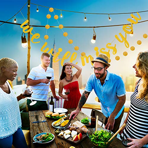 Bandiera We Will Miss You Banner di Addio Festa di...