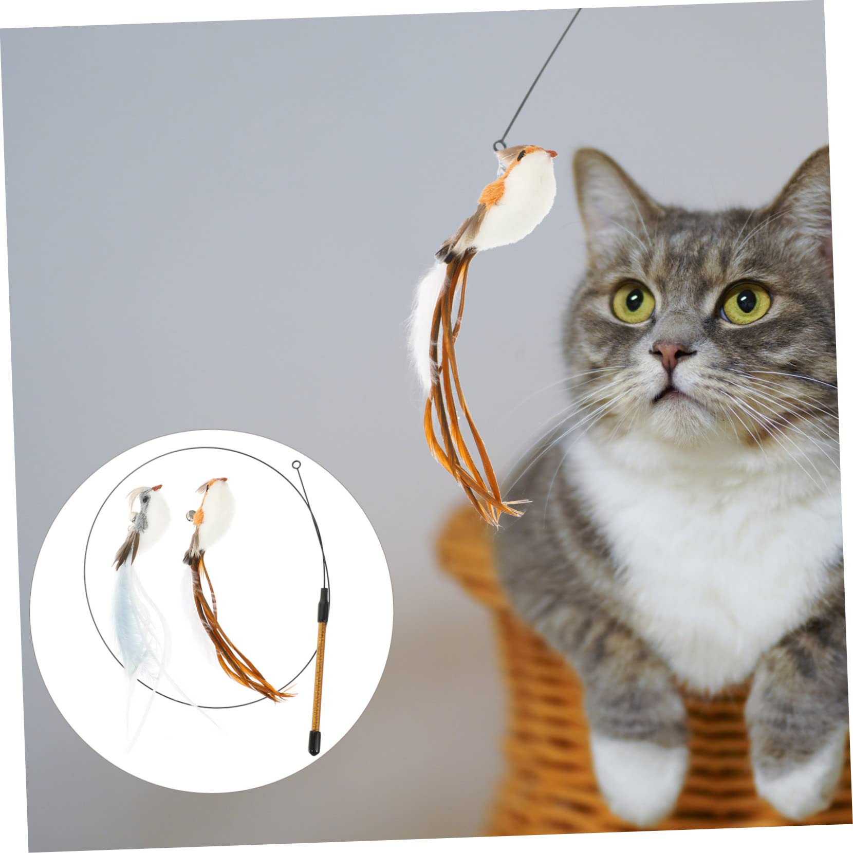 minkissy 4sätze Katzenangel Mit Ersatzköpfen Interaktives Katzenspielzeug Aus Langlebigem Teiliges Für Drinnen Geeignet Für Kätzchen Und Katzen Aller