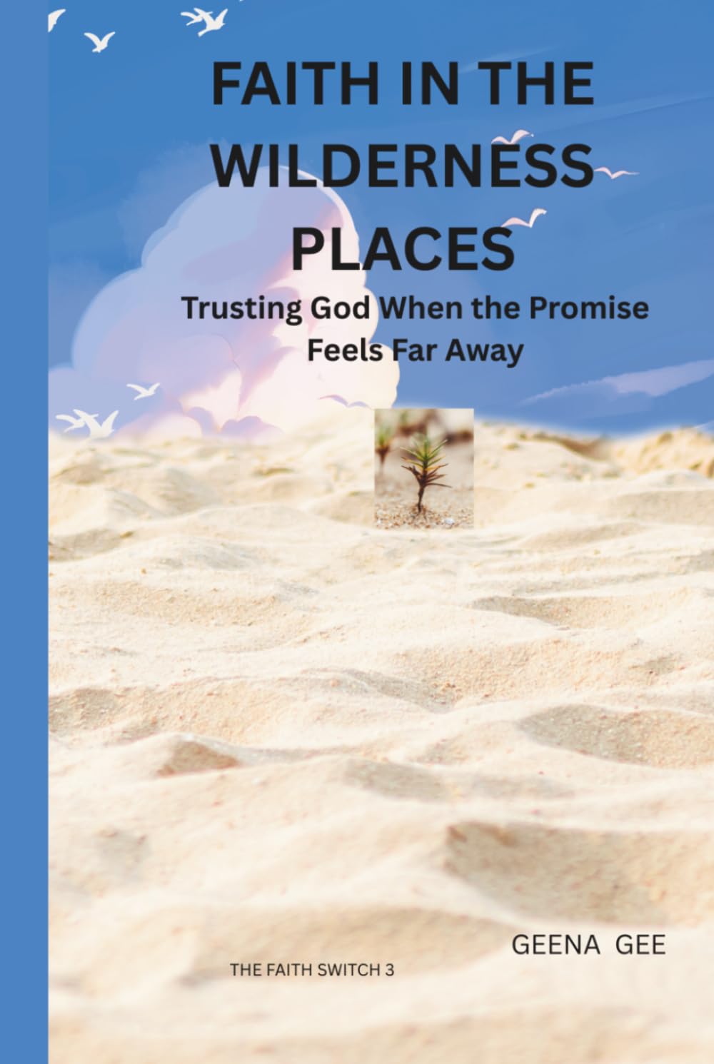FAITH IN THE WILDERNESS PLACES: Trusting God When the Promise Feels Far Away (THE FAITH SWITCH SERIES : Turning Impossible Moments Into Pathways of Power)