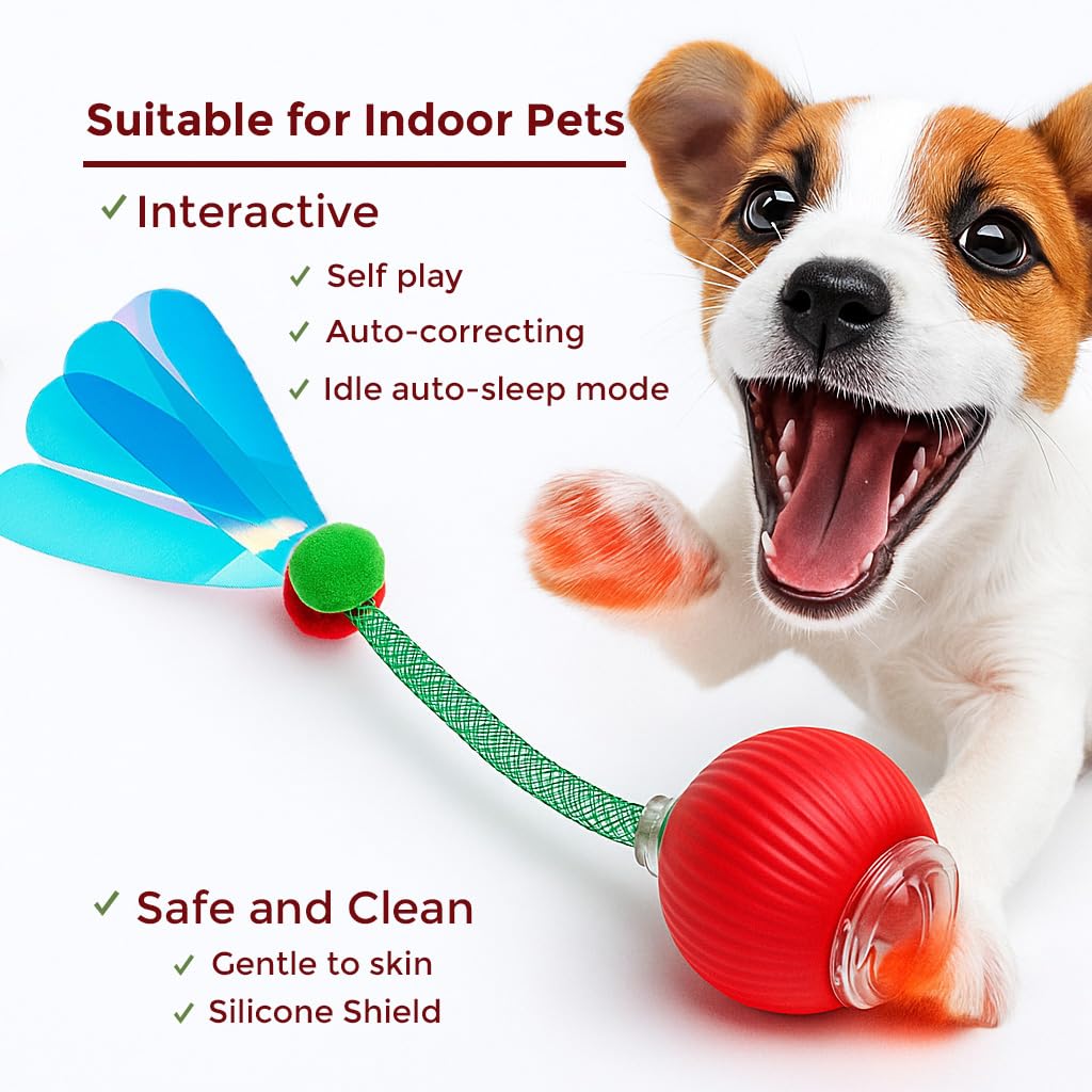 Jouets d'intérieur interactifs pour chat – Balle automatique pour chaton, chats adultes ennuyés et chiens – Jeu de poursuite automatisé – Balles à rouler automatiques intelligentes pour