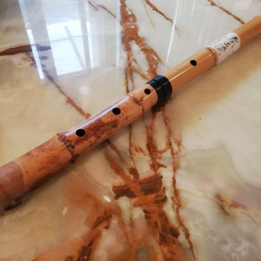 M●美品未使用 琴古流（きんこりゅう）八尺　尺八　和楽器 Amazon.co.jp: M 琴古流（きんこりゅう）八尺 尺八 和楽器