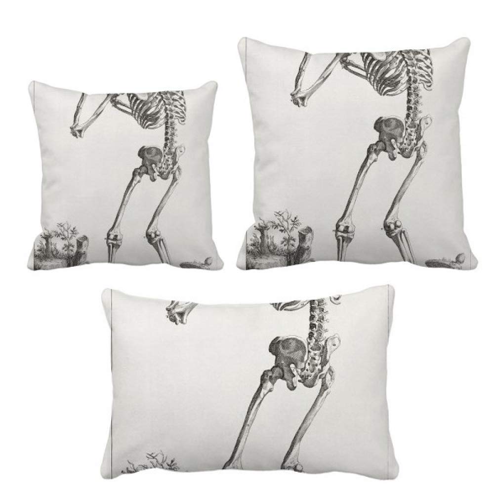 Housse de coussin squelette pour renouveler un style de salon fatigué
