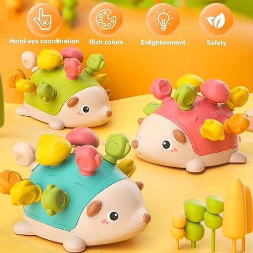 Miniatura 5 de KASENGLUX Montessori Toys - Juguetes sensoriales de erizo de habilidades motoras finas para niños pequeños de más de 18 meses juguetes educativos de