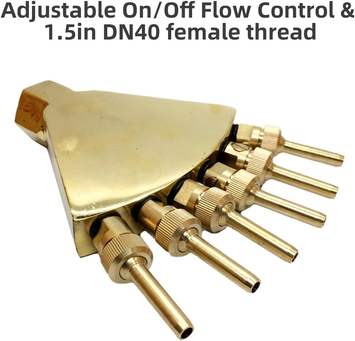 1.5in DN40 Brass Stainless Steel Adjustable Fountain Nozzle, Multi-Hole Scattering Water Spray Head, Decorative Sprinkler for Garden Swimming Pool SPA Pond Courtyard Outdoor Landscape