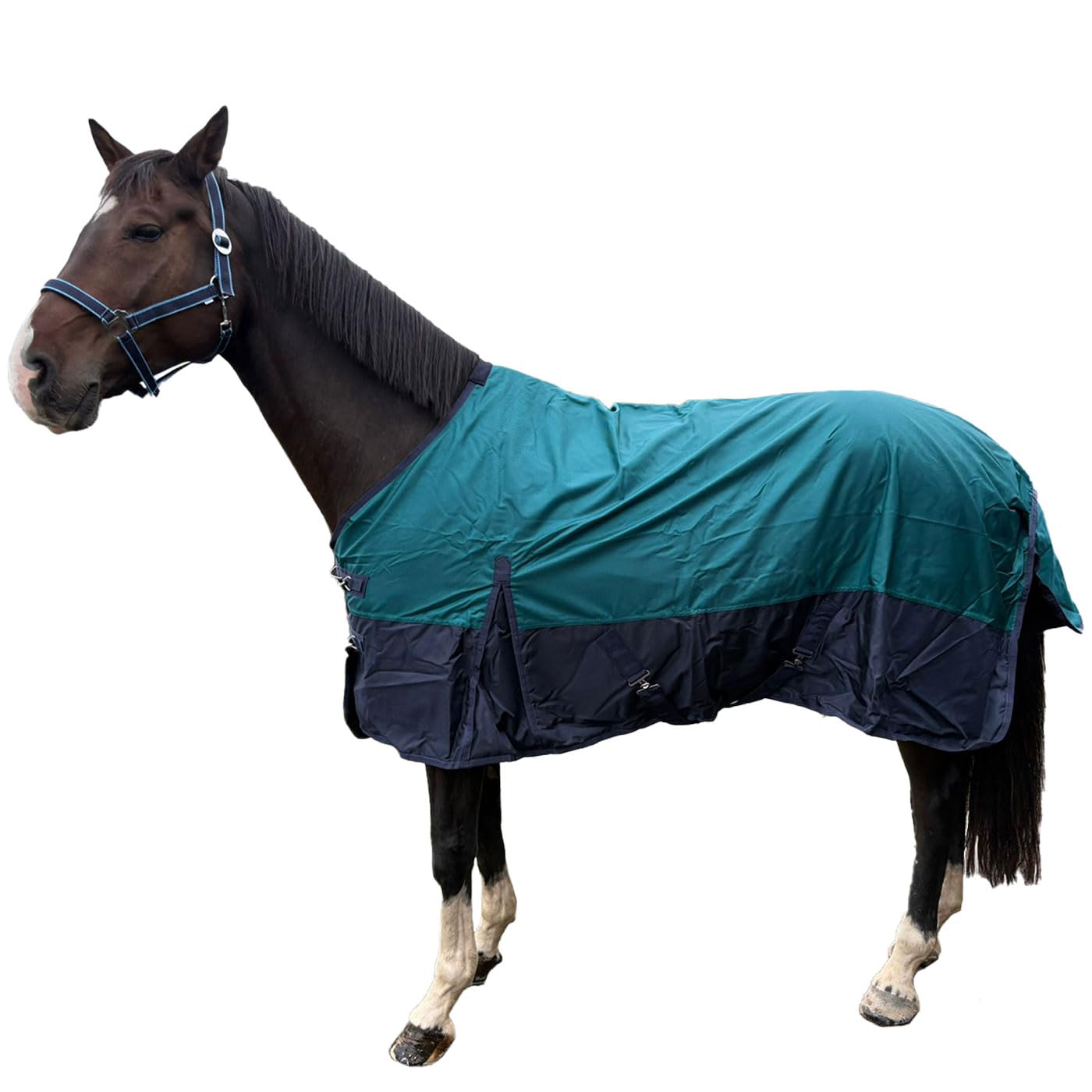 Brama-West - Manta para la lluvia, diseño de caballo Zara Turnout 1200D, manta de pasto para exteriores, resistente al agua y al viento (azul/azul marino, 175)