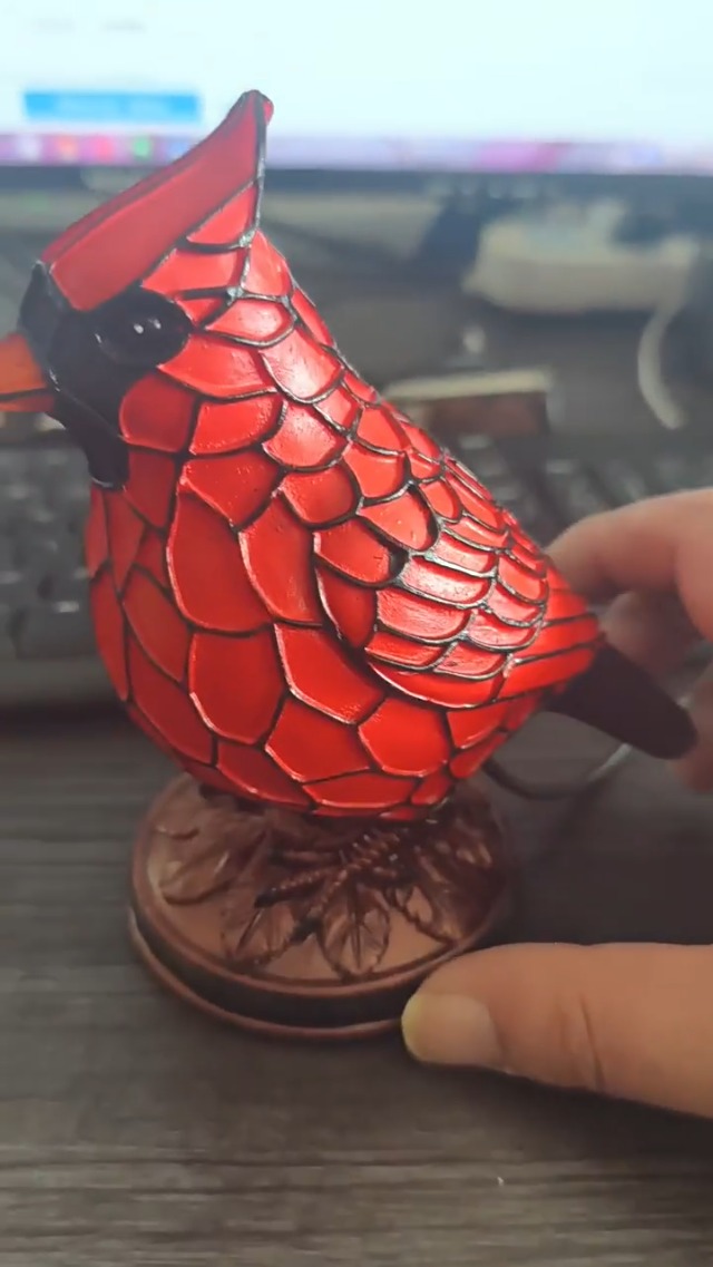 Watch Cardinal Lamp Cardinal Light on Amazon Live