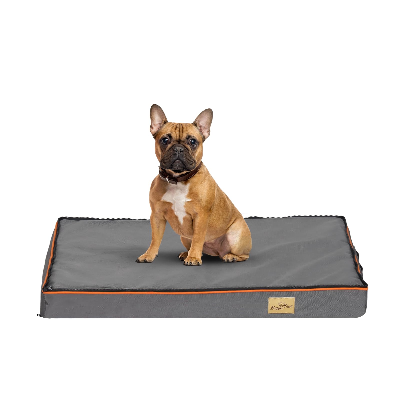 BingoPaw Cama Perro Grande Mediano Impermeable Colchoneta Colchon Ortopedica con Funda Desenfundable Lavable y Manta de Invierno Cojin Antiestres Dog Bed M 80x50x8cm