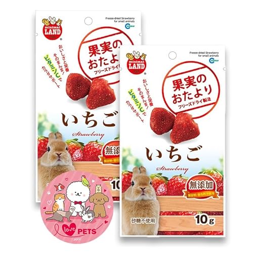 マルカン 果実のおたより いちご 10g×2個セット ML-84 小動物 フード おやつ ウサギ ハムスター リス チンチラ モルモット オリジナルステッカー付きのサムネイル