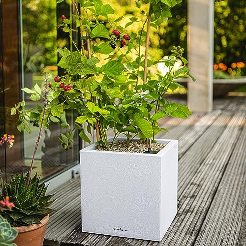Lechuza Canto Stone 30 pot de fleur reserve d'eau blanc quartz ext - 7