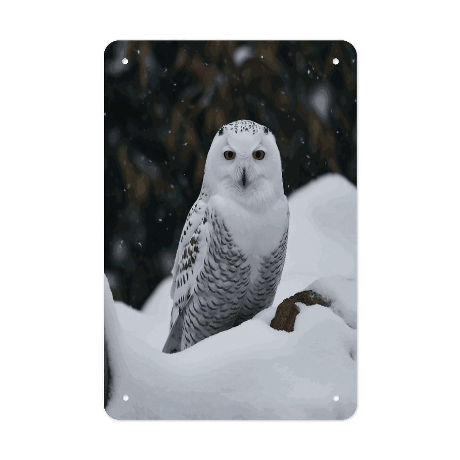 LDGSUPH Snow Owl Wall Art Prints Folded Edge Iron Sheet Painting with Holes for Wall Prints Decorative Picture Metal Signboard Decor Painting for Outdoor Indoor Wall Decor
