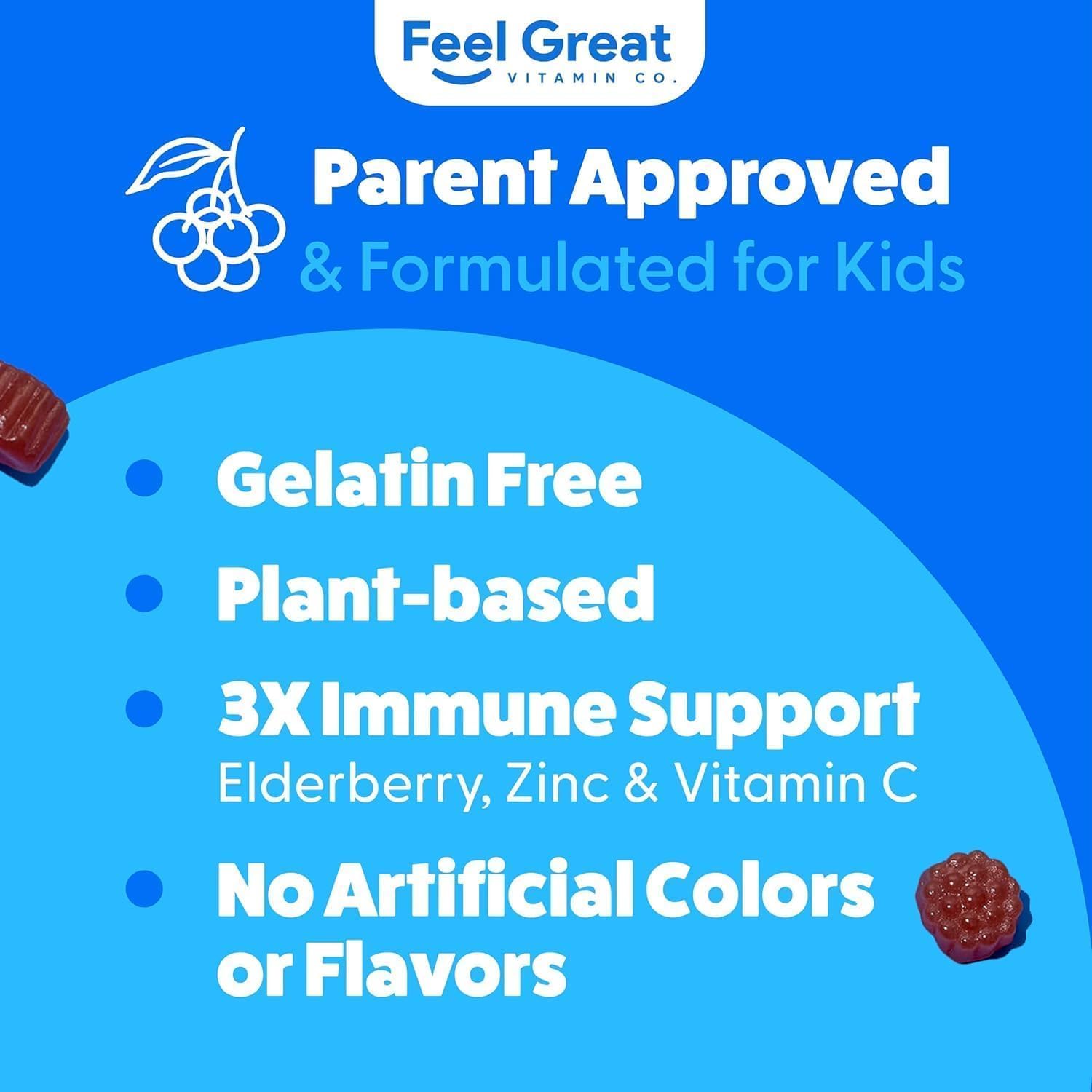Feel Great Kids Elderberry Gummies with Zinc and Vitamin C (2-Pack) | Immune Support Sambucus Elderberry | Berry Flavored Vegan Multivitamins | 90 Count - Image 5
