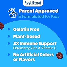 Feel Great Kids Elderberry Gummies with Zinc and Vitamin C (2-Pack) | Immune Support Sambucus Elderberry | Berry Flavored Vegan Multivitamins | 90 Count