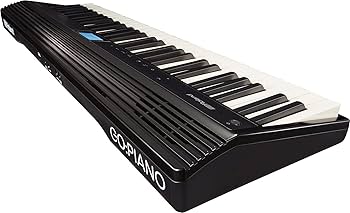 Roland GO-61P キーボード DP-2ペダルスイッチ付き Roland GO-61P キーボード DP-2ペダルスイッチ付き Amazon.com