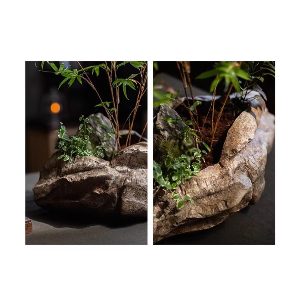 Pflanzgefäß aus Beton for den Garten im Freien, Bonsai-Blumentopf, Pflanzenbehälter for den Innenbereich, Ornament(Small)