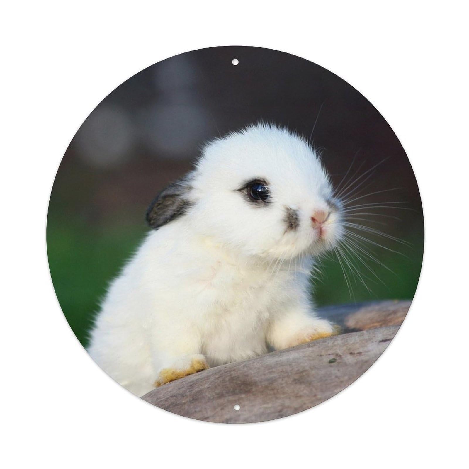 White Rabbit Cute Animal Woodland Nature Metal Tin Sign