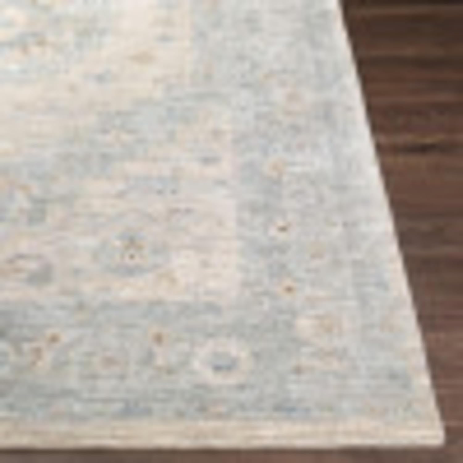 Livabliss Avant Garde Traditional Runner Area Rug, 2'7" x 7'3", Denim/Tan