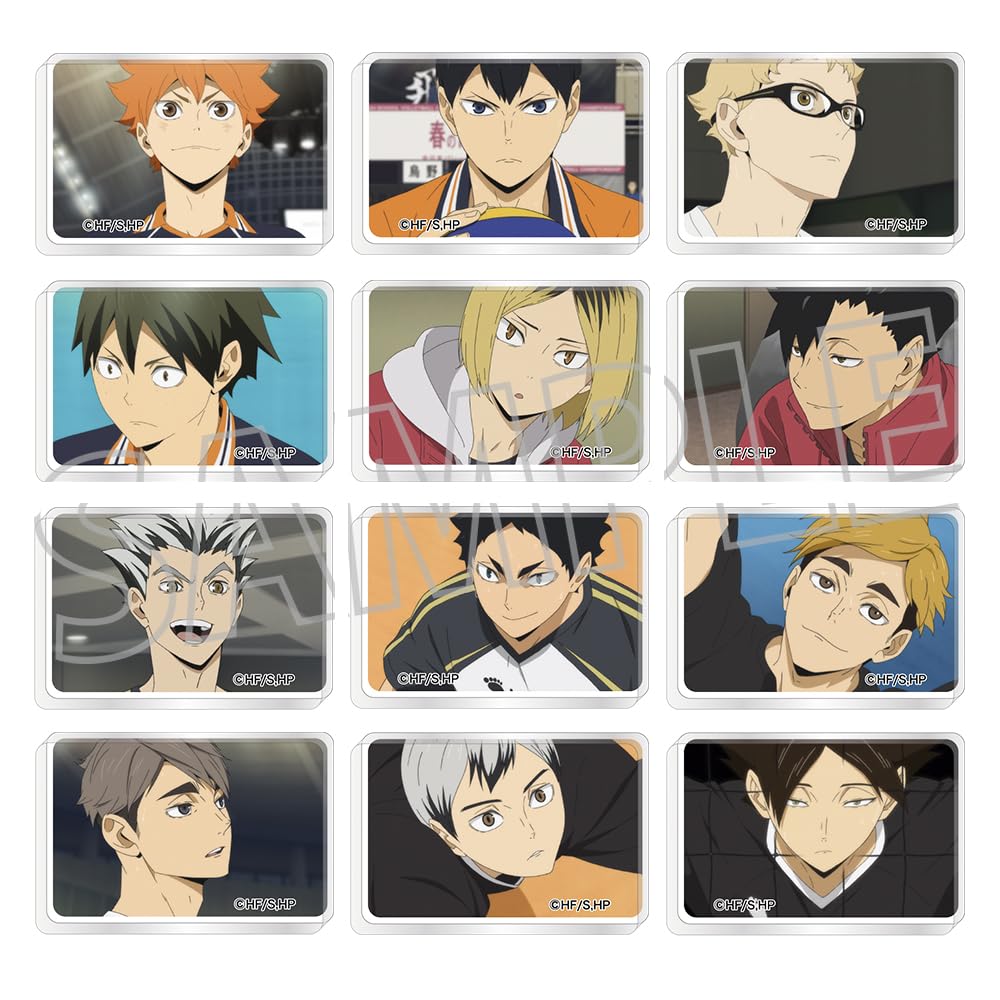 Amazon.co.jp: ハイキュー！！ ミニアクリルブロック