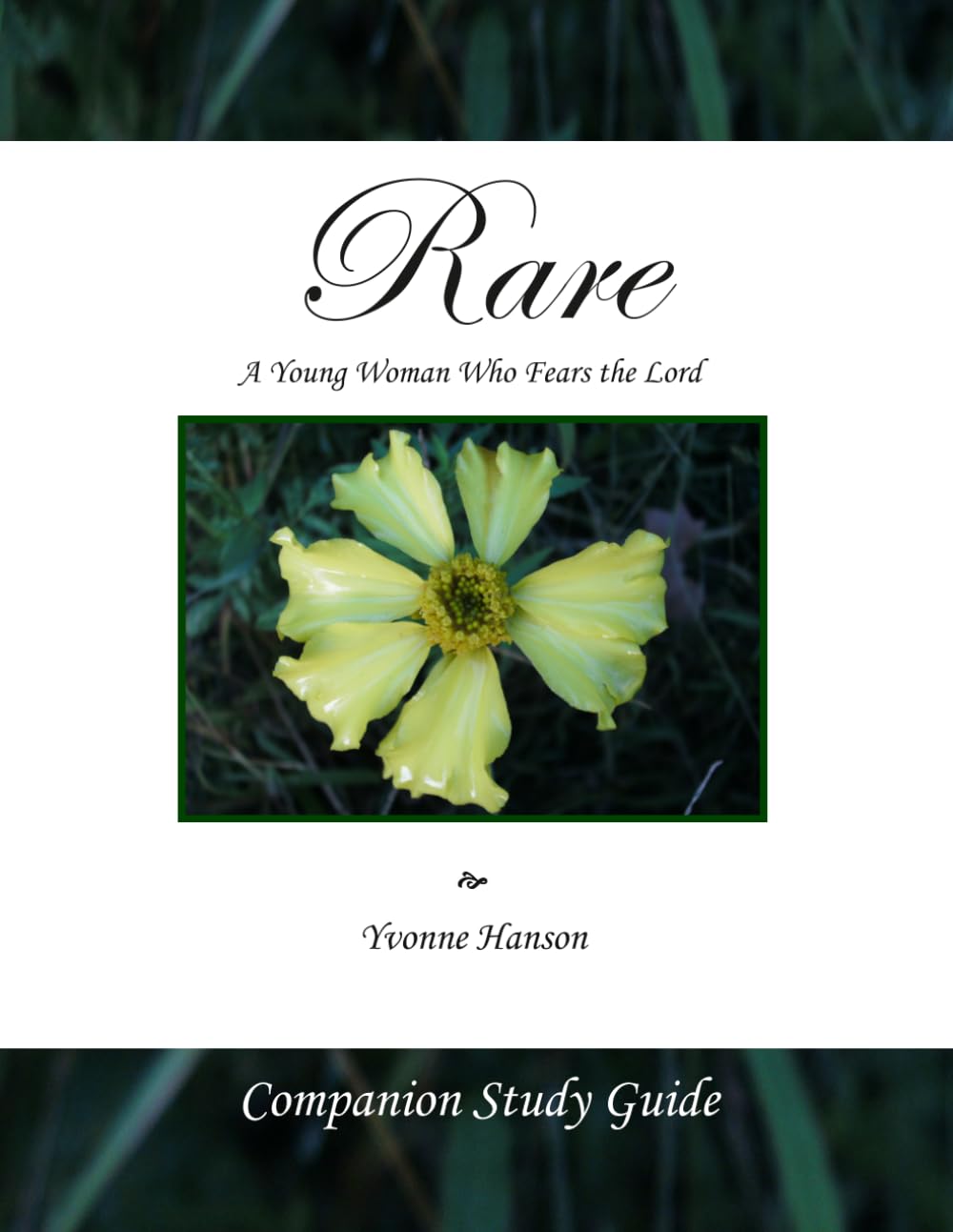 Rare Companion Study Guide: A Young Woman Who Fears the Lord