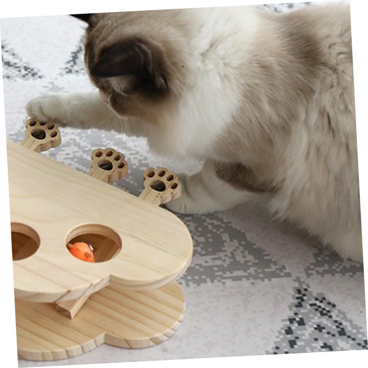 Sosoport Holz Katzenspielzeug Interaktiv Mit Katzenminze Pädagogisch Lustiges Fangspiel Für Haustiere