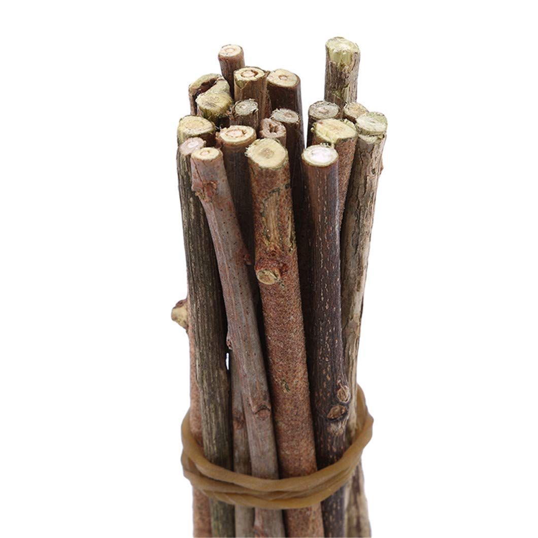 Sperrins Wood Sticks 20 Pieces Natural Unfinished Craft Branches Wood Sticks for DIY Arts Crafts Photo Props Home Decor Floristry,0.3-0.5cm in Diameter