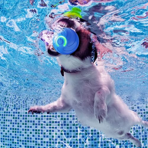 GMTEO Springender Aktivierungsball für Hunde, 2025 Neu Sprung Hundespielzeug Intelligenz Selbstbeschäftigung, Elektrisch Hundespielzeug Ball Interaktiv für Katzen Hunde (Blau)