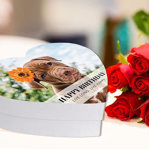 Miniatura 37 de Andaz Press Caja en forma de corazón para el día de San Valentín con tapa, caja reutilizable en forma de corazón, caja para golosinas, dulces