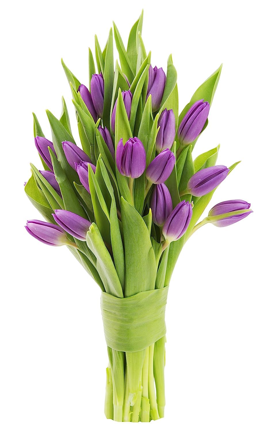 KaBloom-20 Purple Tulip Bouquet,Flowers for Valentine, Mother's Day